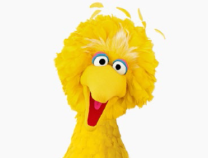 Big-Bird-300x228